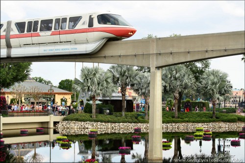 As I was taking macro flower shots, the monorail went by and I snagged this quick shot.