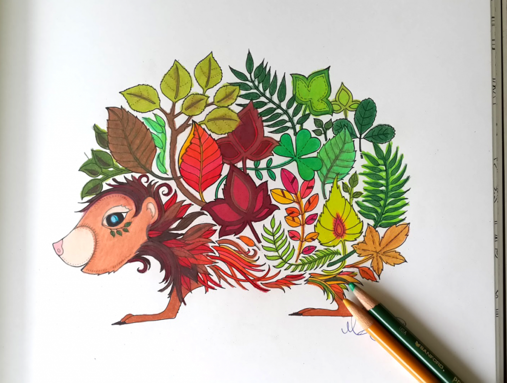 Hedgehog colored page from the Enchanted Forest Coloring Book